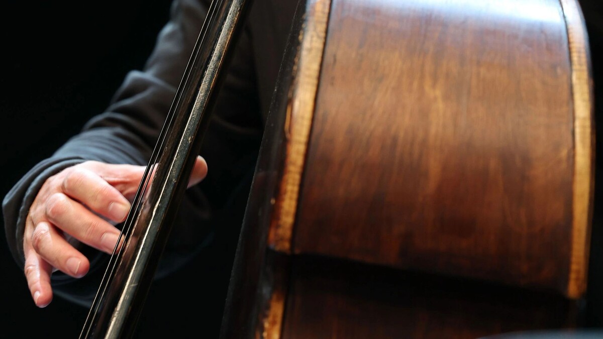    Фото: Андрей Ткачев / «Ямал-Медиа»