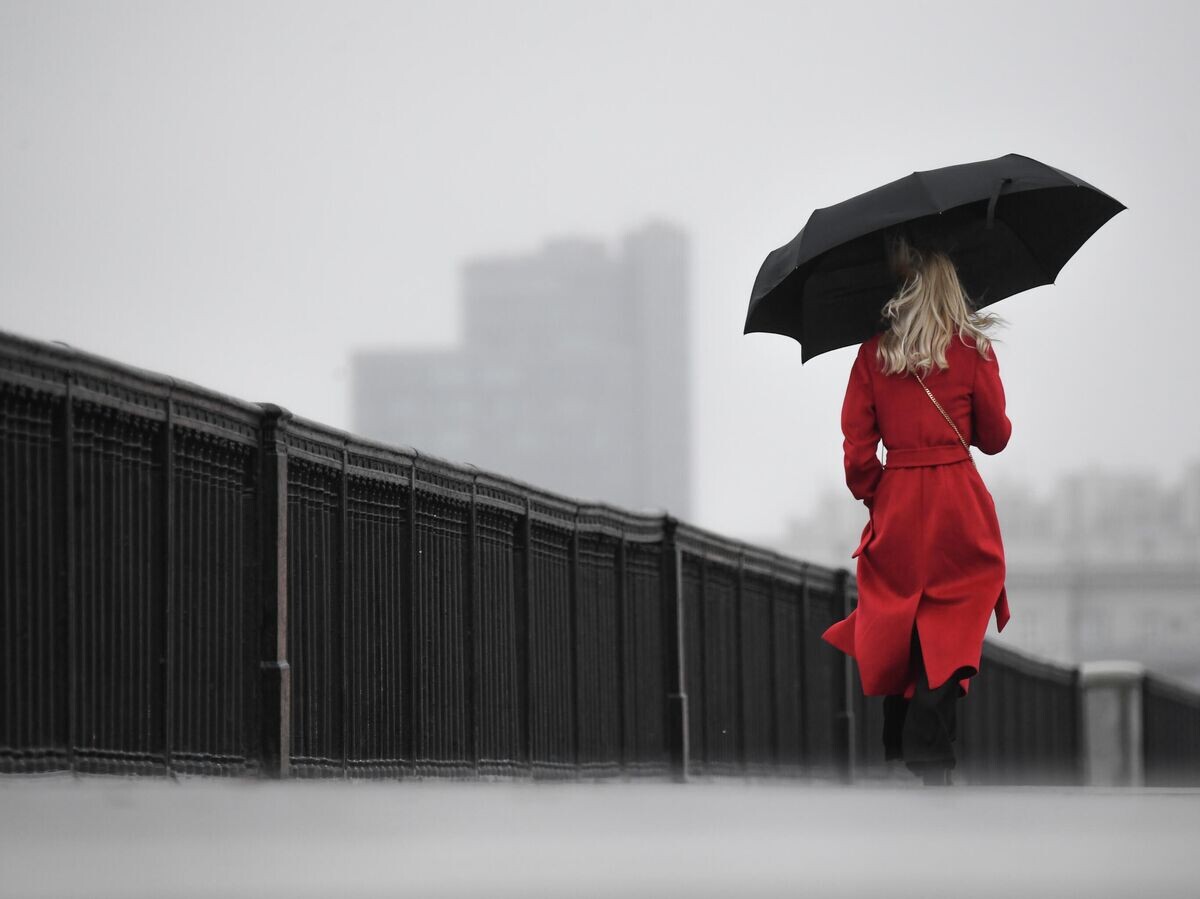    Женщина с зонтом идет по Крымскому мосту во время дождя в Москве | © РИА Новости / Кирилл Каллиников