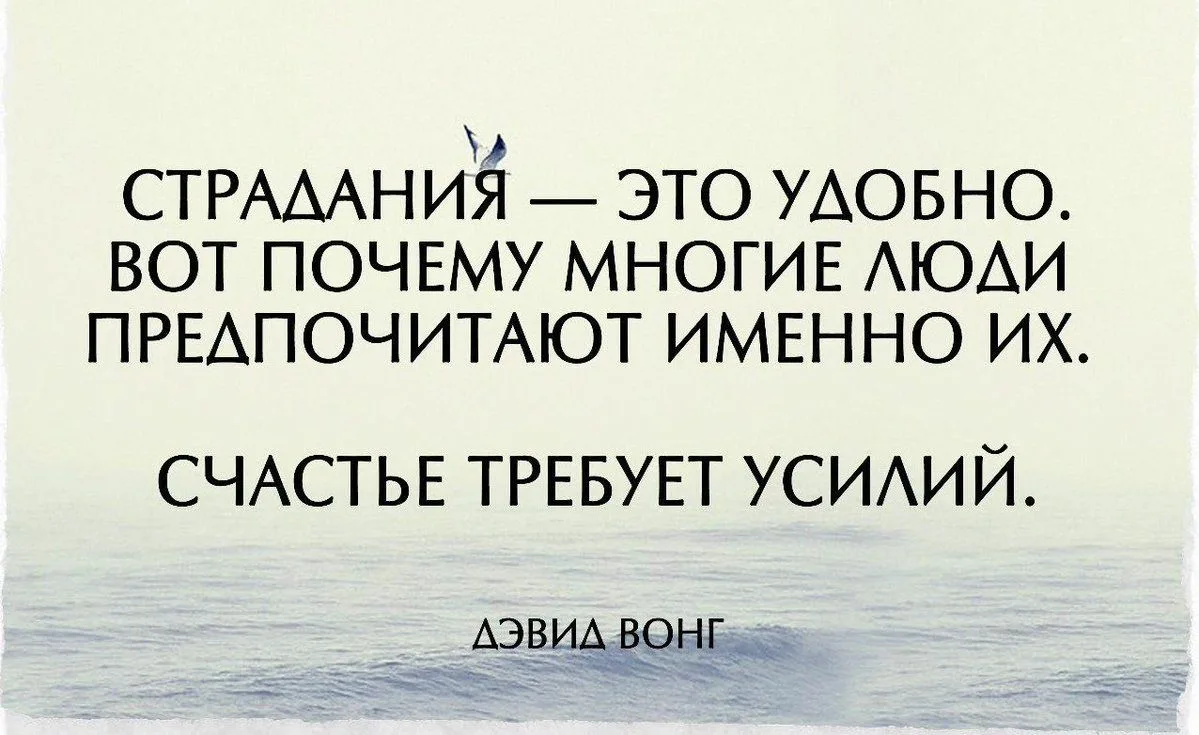 Картинка из сети