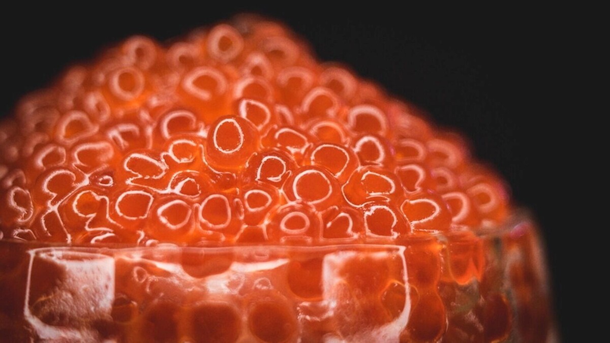    Почему магазины распродают запасы красной икры   1MI