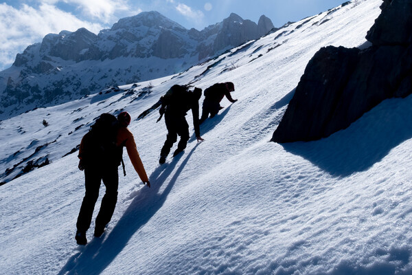 emerald_media/Shutterstock/FOTODOM   📷