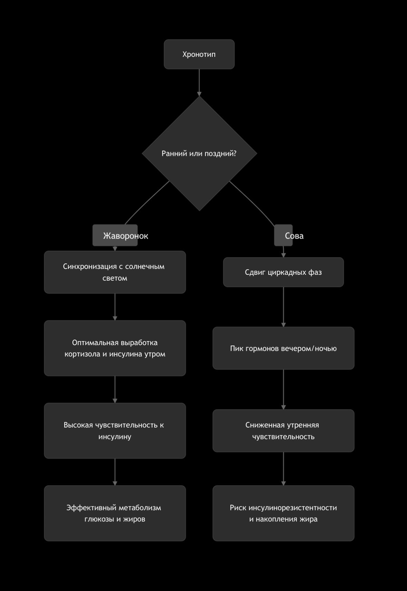 Вдияние хронотипа на метаболизм