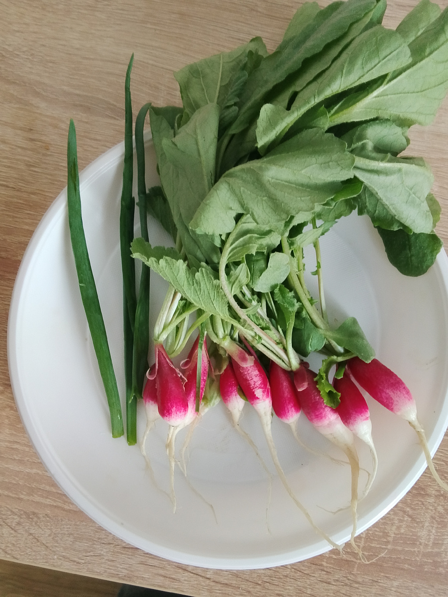 13 апреля 2026г.