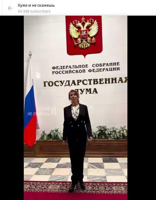    Наталья Штурм в Госдуме. Скриншот: телеграм-канал "Хуже и не скажешь".