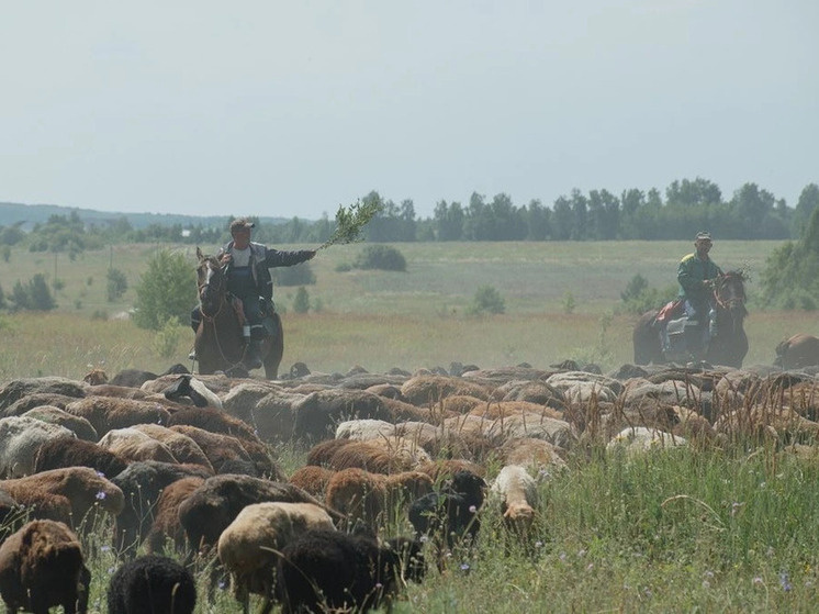     Фото: Мк в Пензе