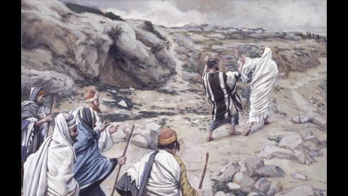 Из открытых источниках Яндекса.