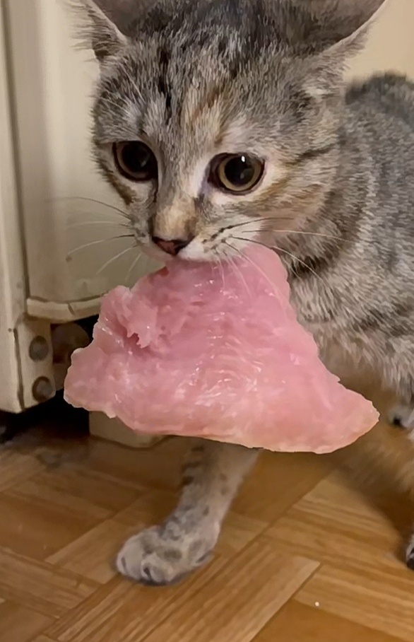 Фото Яндекса. 