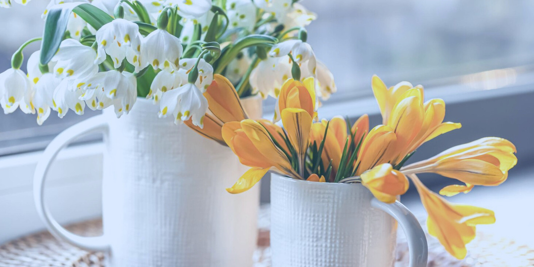 Вредные советы для вашей пользы