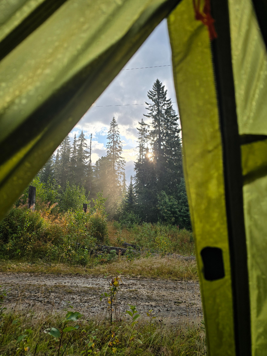 День 103 утров палатке выглянуло солнце