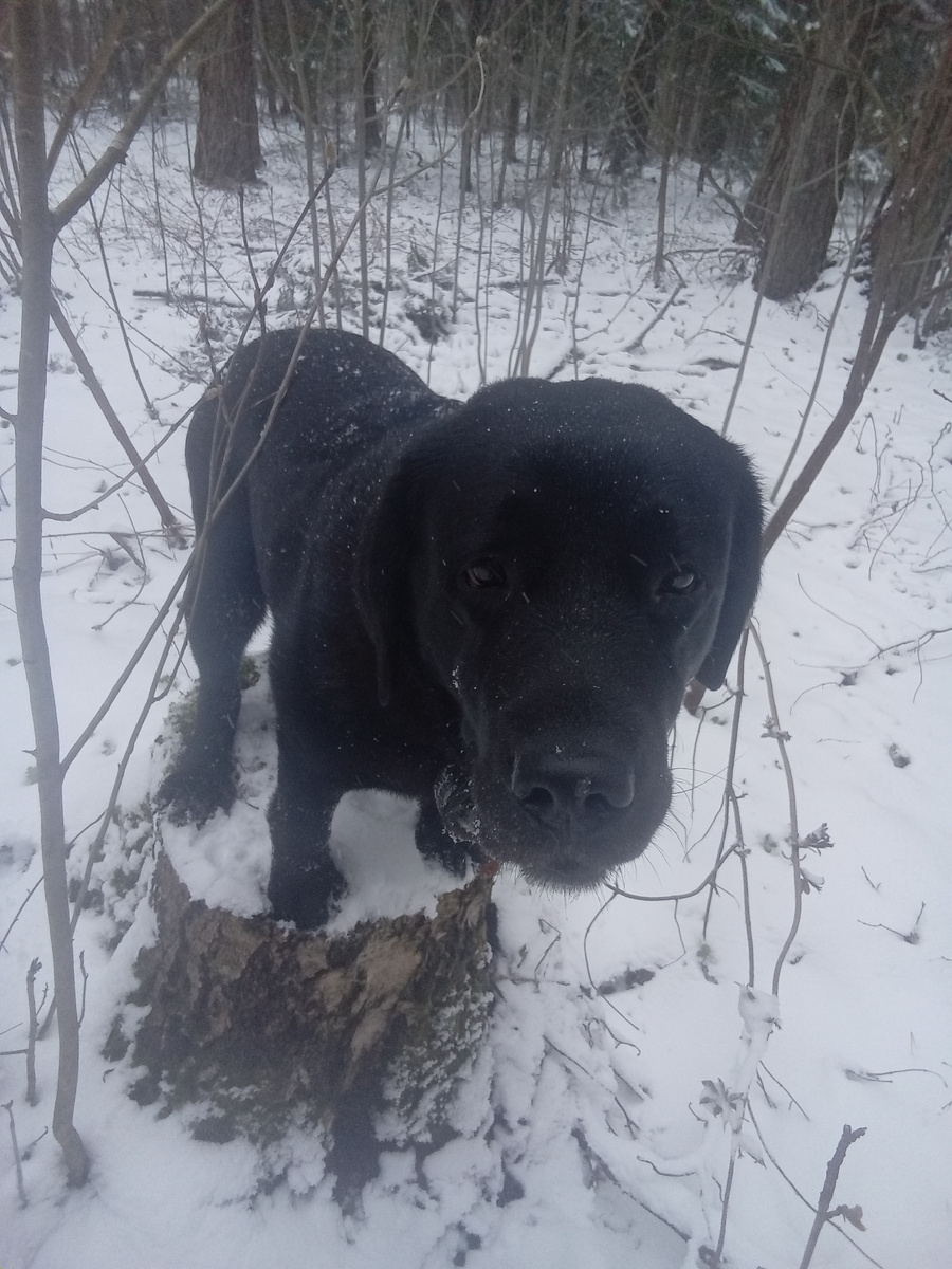 Фото автора. 