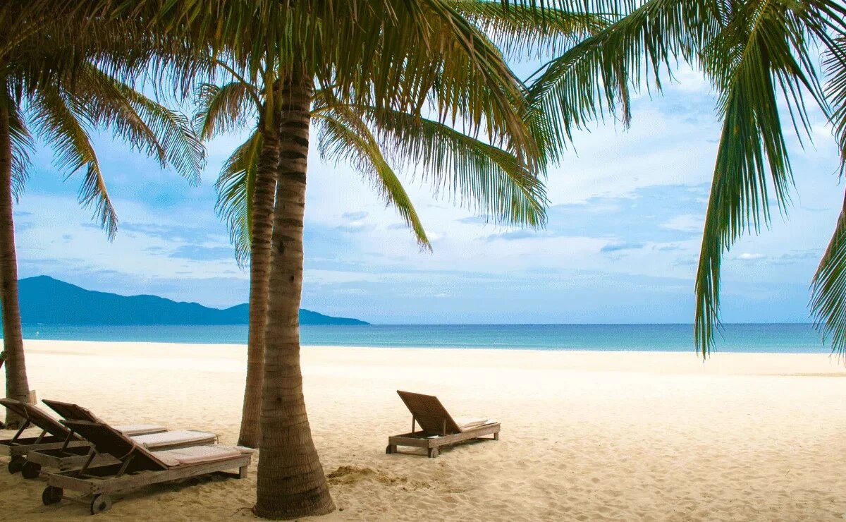    Из Москвы и еще трех городов запускают прямые чартеры в Дананг во Вьетнаме