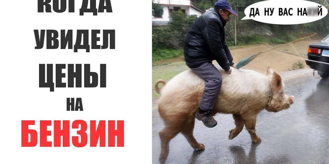 Бензиновые реки, нефтяные берега.