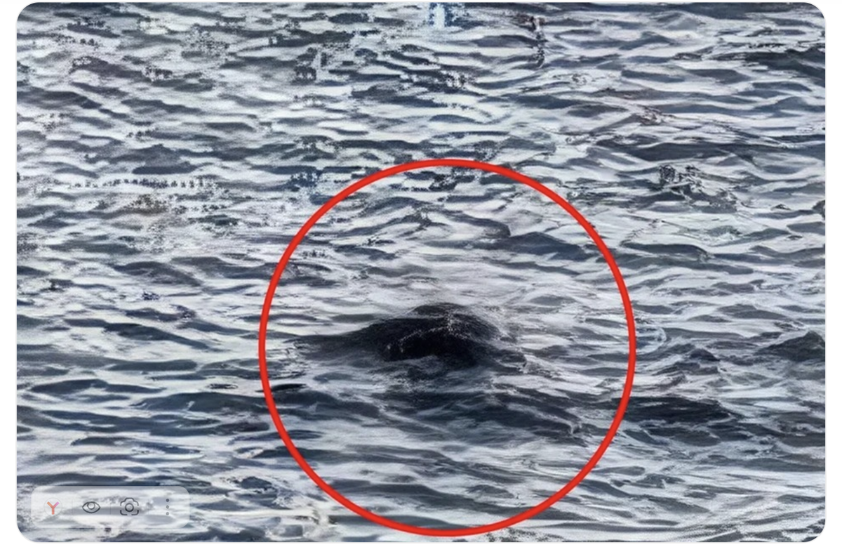 источник дзен 