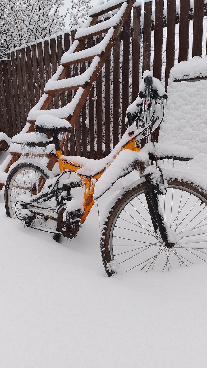 Мое, сегодняшнее фото