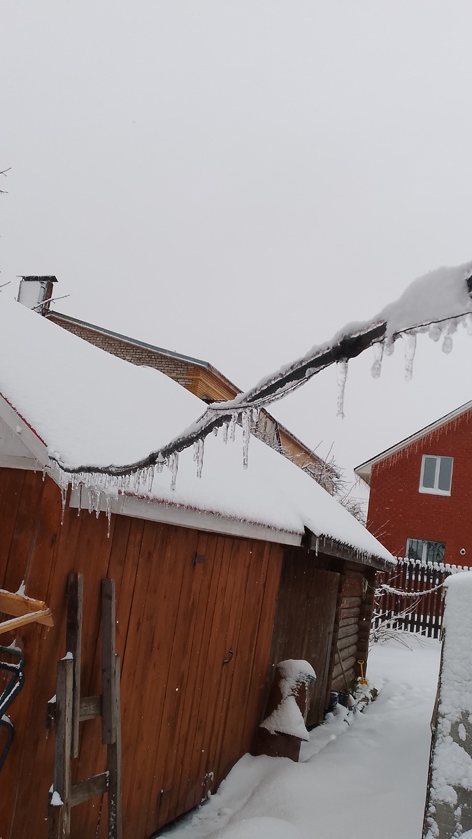 Мое, сегодняшнее фото. 