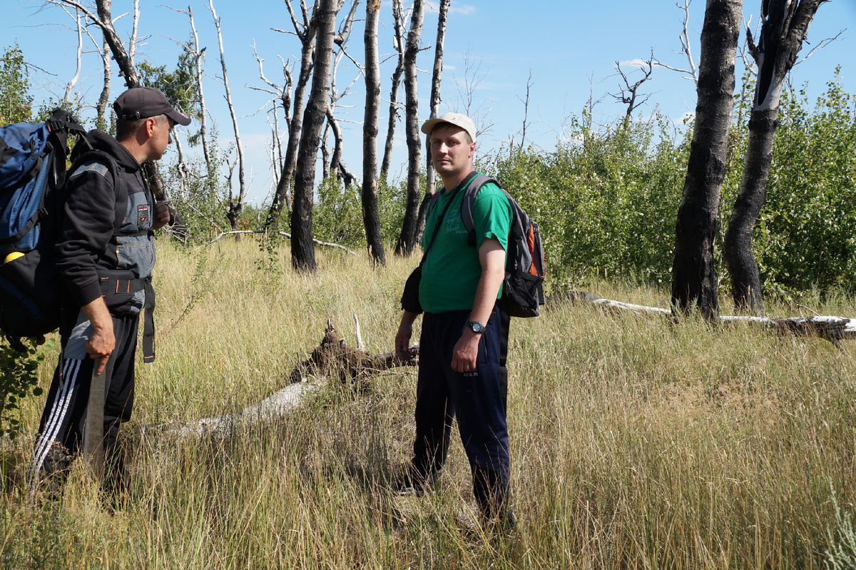 Дмитрий Савва и автор сих строк на Синей горе Медведицкой гряды исследуем сожжённые шаровой молнией деревья