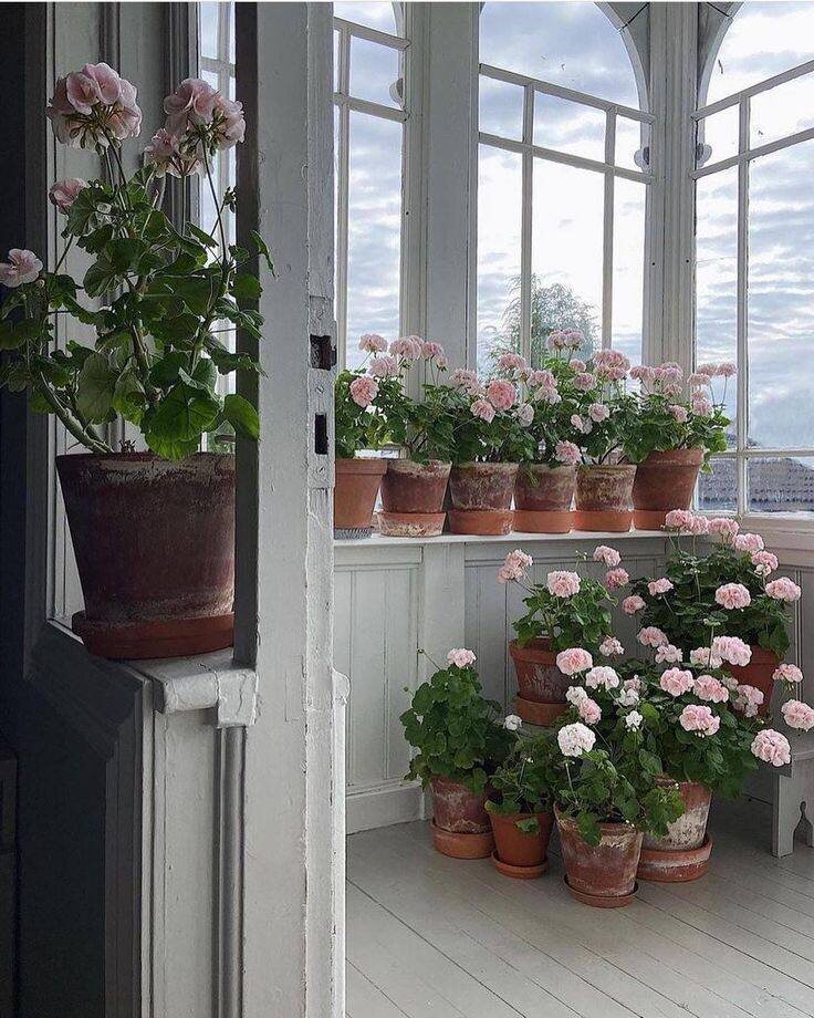 Горшки с высолами у меня тоже есть!