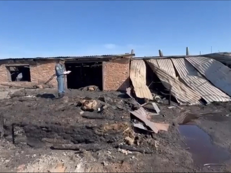     Фото: МЧС Алтайского края