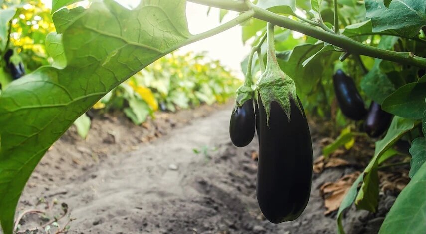 фото 123RF/ilixe48