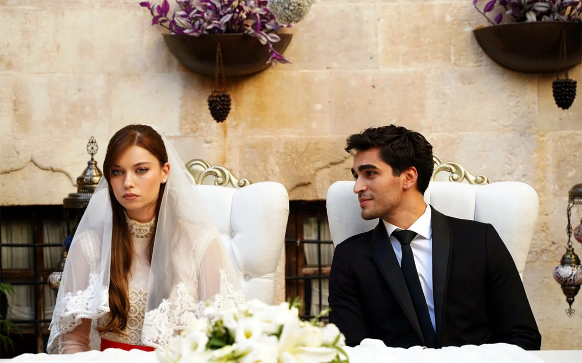 Кадр из сериала "Зимородок"