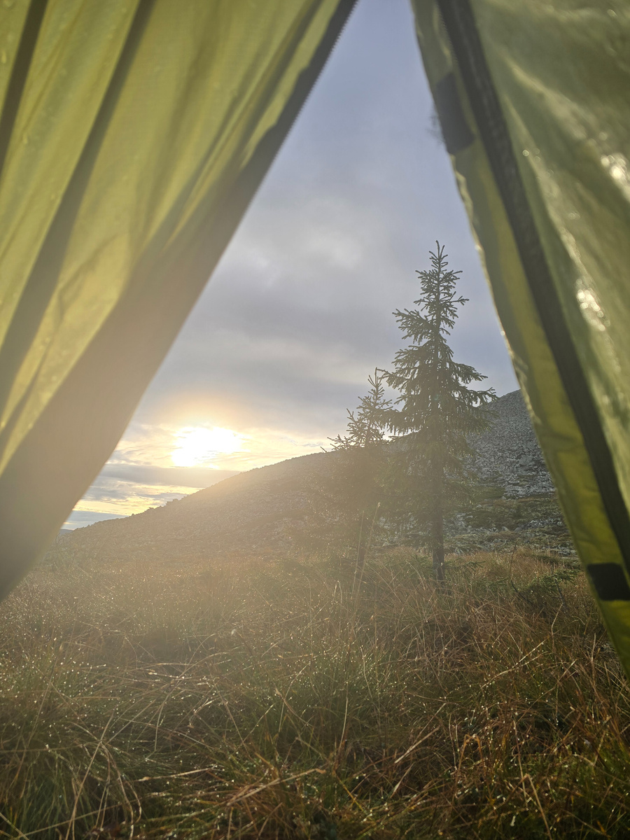 Утро из палатки