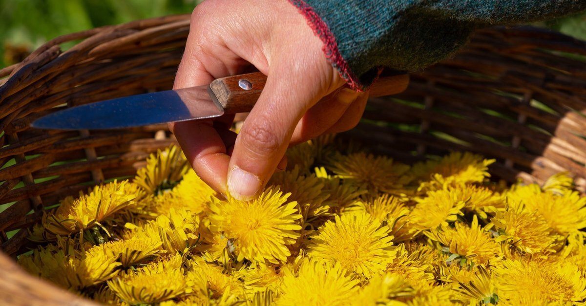 Странные грибы нынче уродились