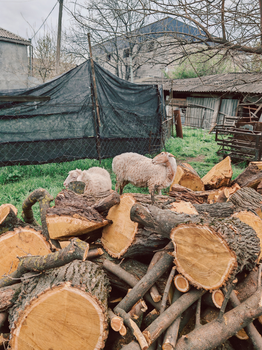 Фото автора