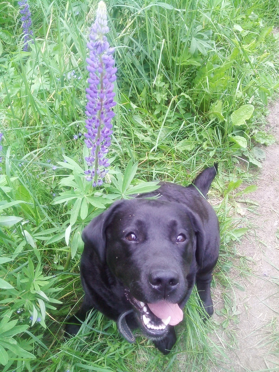 Фото автора. 