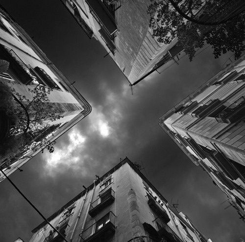 Эмилия Захарова