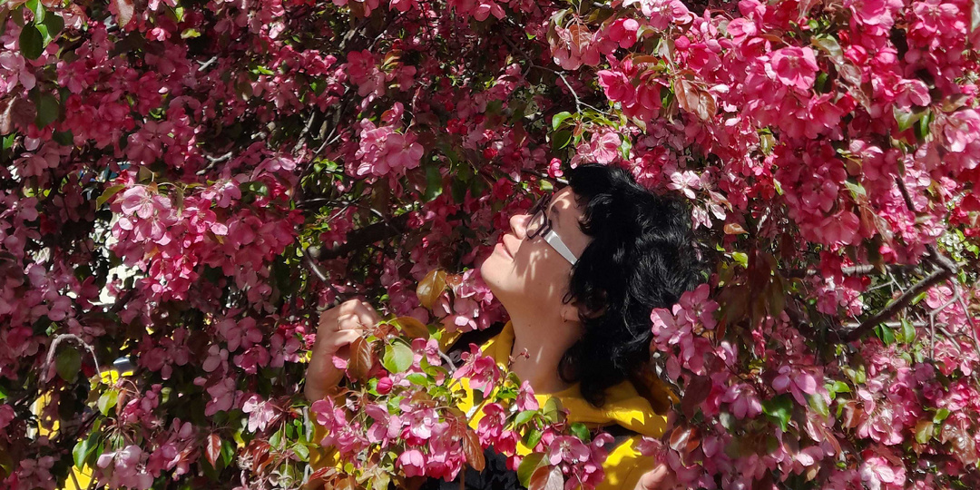 Цветочный туризм в России: куда поехать в мае, чтобы удивиться