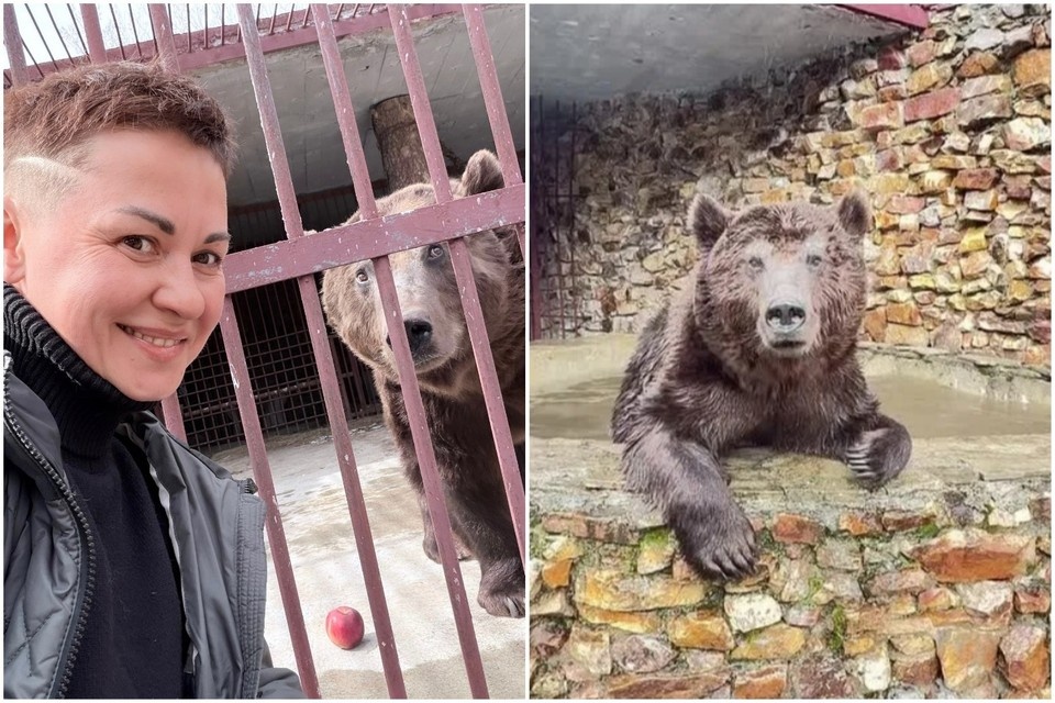    Анна Осипова и медведь Степан. Фото: Медведь Степан | Новая жизнь на Зюраткуле / vk.com