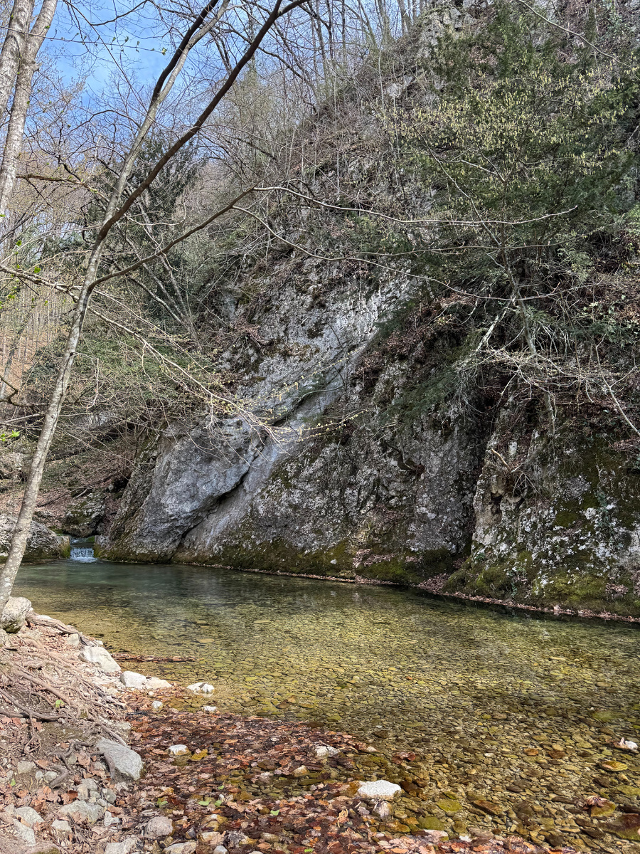 Только посмотрите на эту кристально чистую воду. 