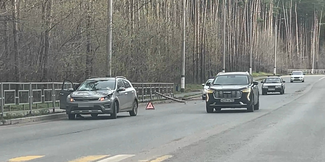 Прилетел нежданчик: в Сызрани сосна рухнула на ехавший по проспекту автомобиль