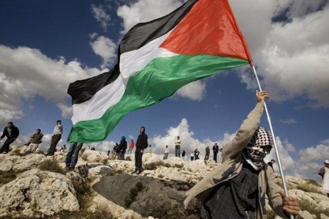 МИД Норвегии сообщил о переговорах Дональда Трампа с Палестиной