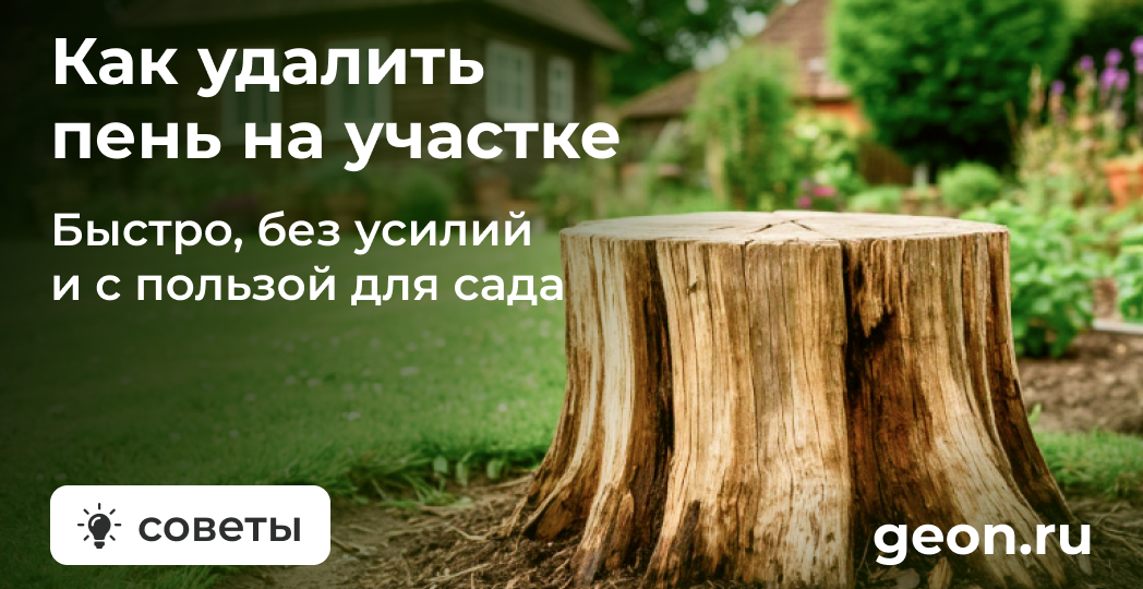 Как выкорчевать пень: способы для ленивых, пироманов и берсерков