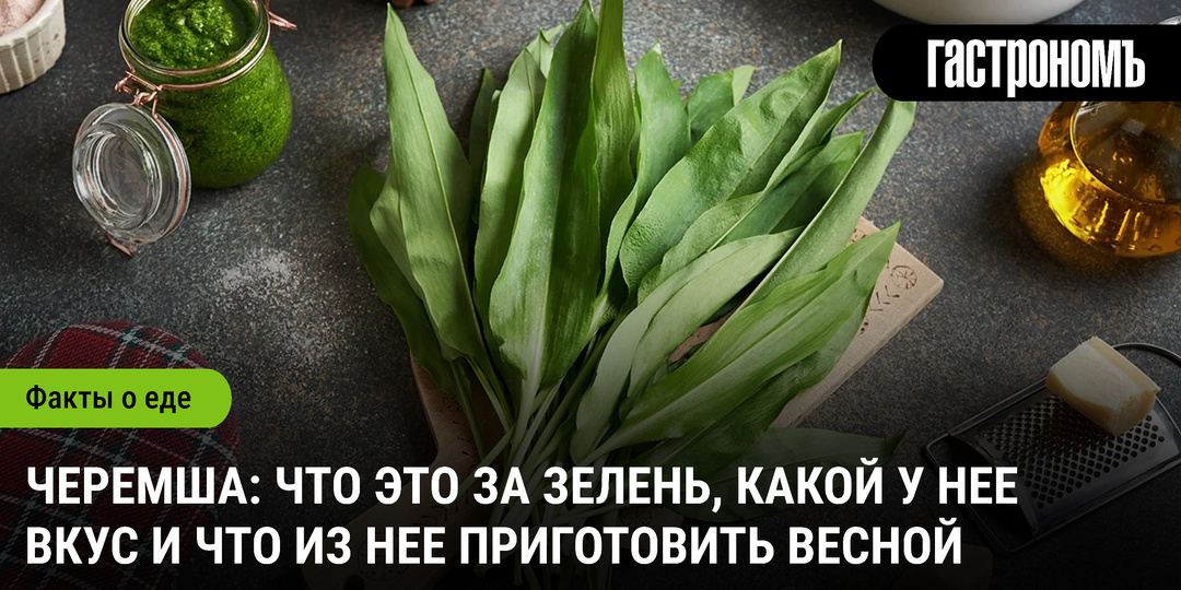 Черемша: что это за зелень, какой у нее вкус и что из нее приготовить весной