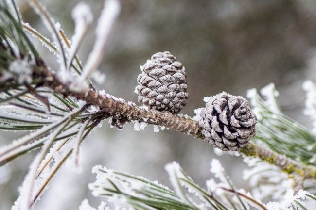 Россиян предупредили о резком похолодании на 6-8 градусов ниже нормы