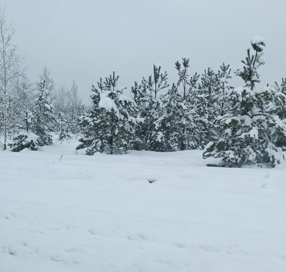 Фото автора статьи