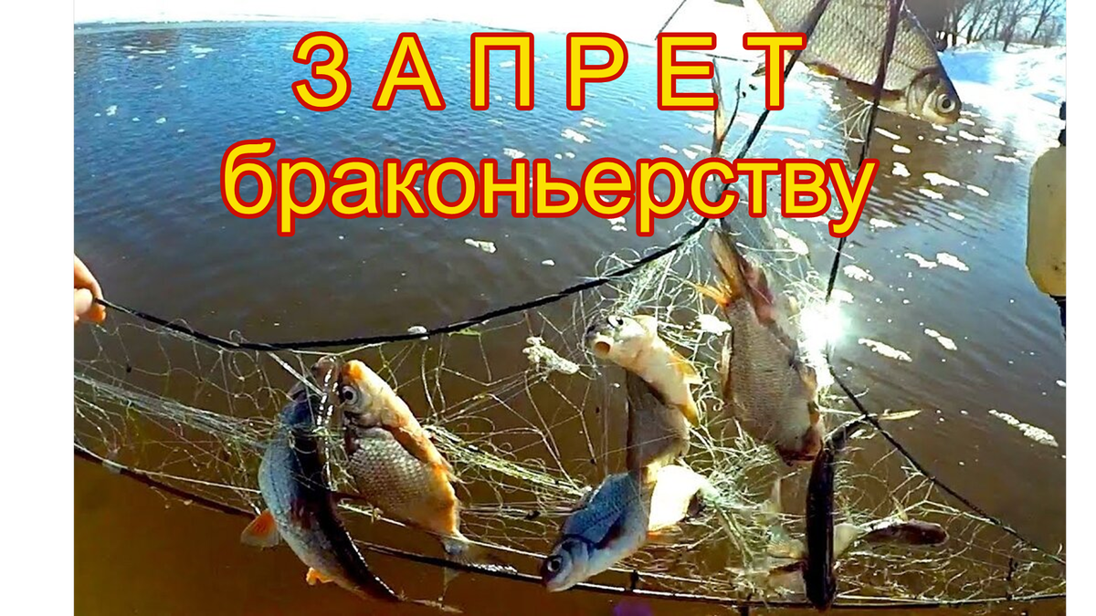 Беда для наших водоемов.