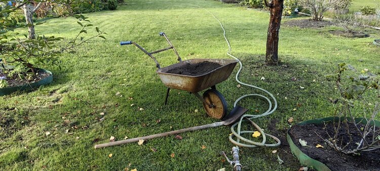 «Неутомимый» огород: способы вдвое снизить затраты времени на уход