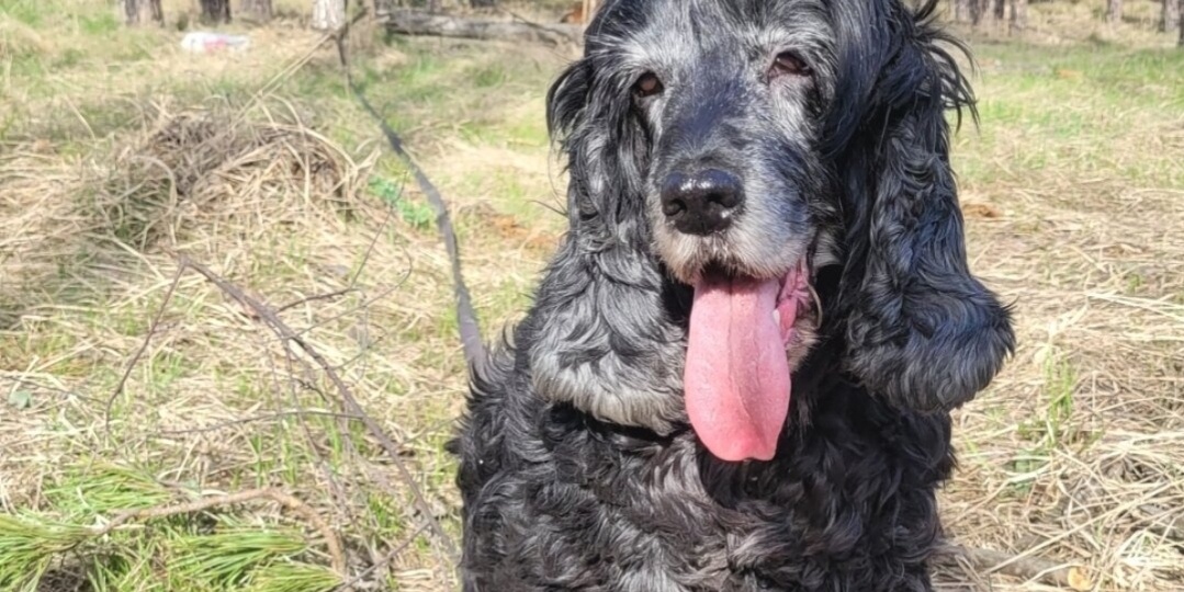 Поможем нашей старушке Клаве?