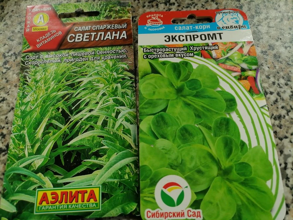 Салаты-новинки, фото автора