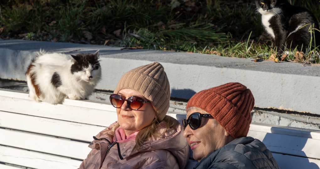 Пенсионерам старше 70 положены сразу несколько льгот. Как получить прибавку, скидки и бесплатные лекарства в 2026 году