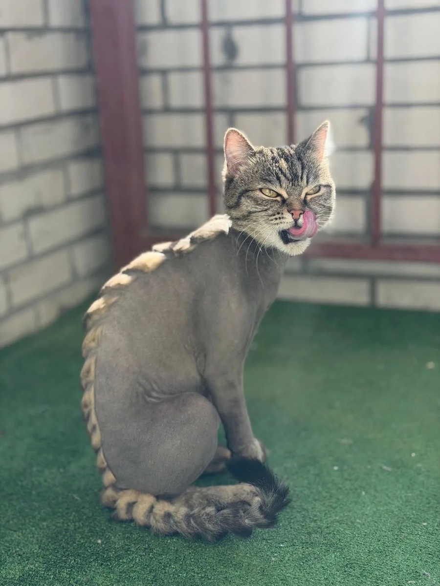 Попала в самые лучшие руки