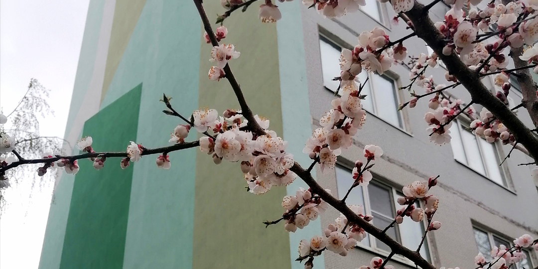 Холода возвращаются - надеюсь, это ненадолго...