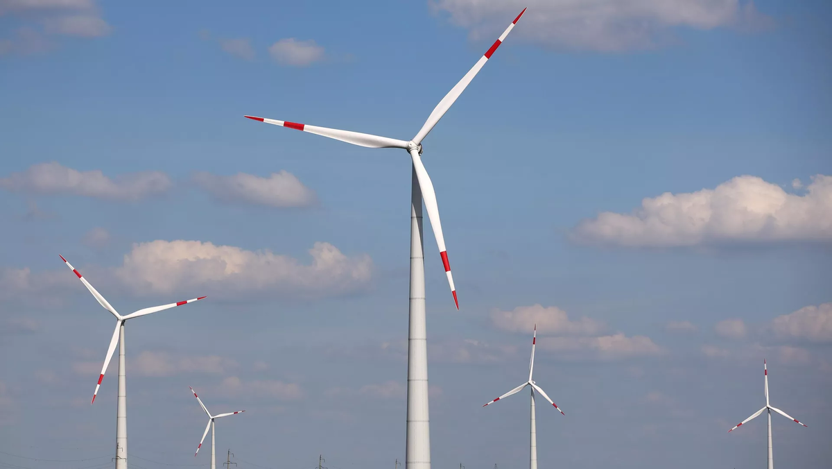 © photo: Sputnik / Vitaly Timkiv