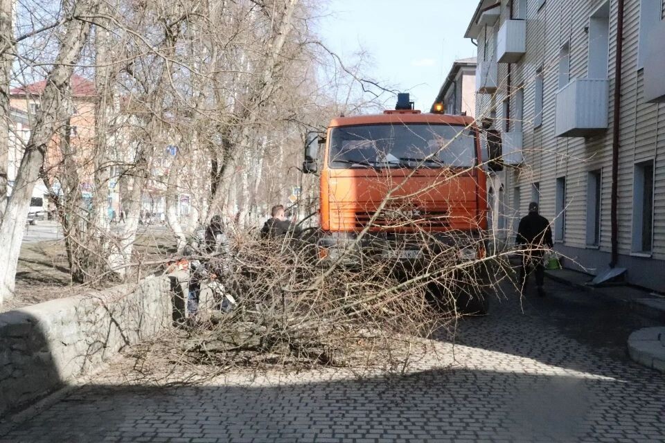    Уборка аварийных деревьев в Горно-Алтайске. Источник: Администрация Горно-Алтайска