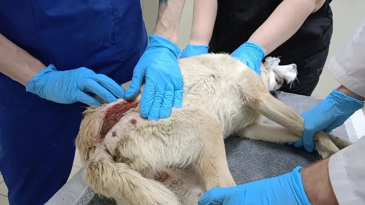 Федору срочно требуется специализированное лечение, дорогостоящие препараты!