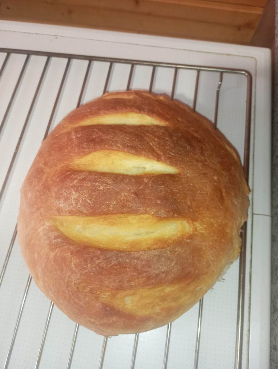 Фото автора Поспеловой Евгении 