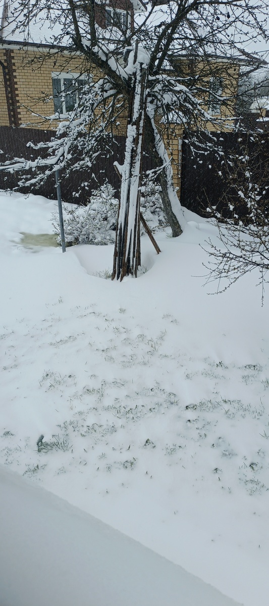 Снег валит и валит...